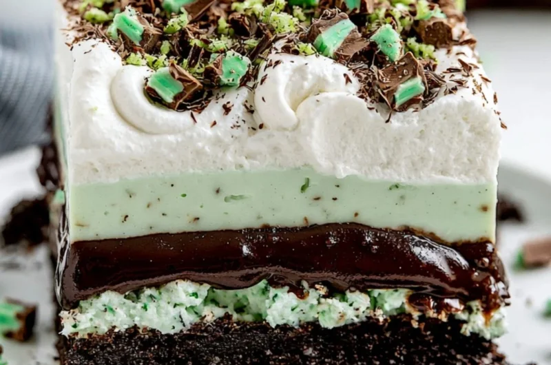 Delicious Chocolate Mint Lasagna layered with chocolate and mint flavors