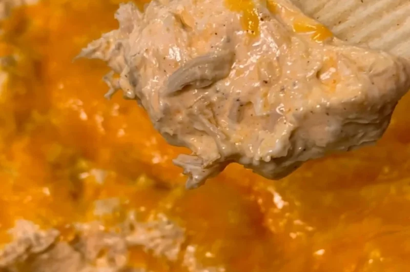 Cozy chicken taco dip served with tortilla chips