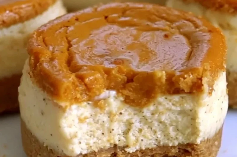 Cozy mini pumpkin cheesecakes topped with whipped cream and spices.